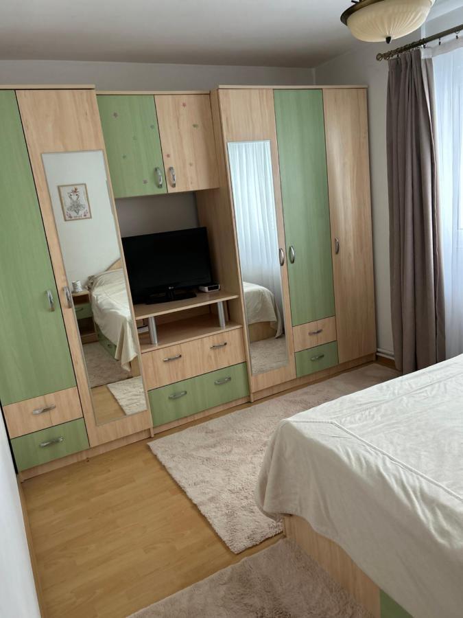 Lalelelor Apartment Suceava Ngoại thất bức ảnh