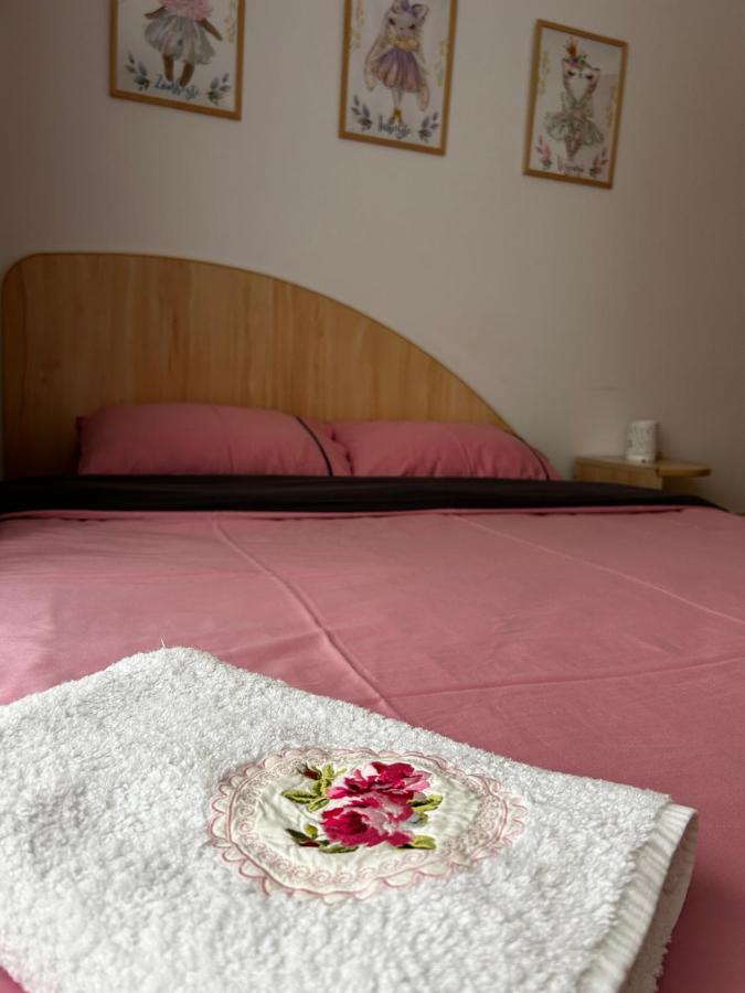 Lalelelor Apartment Suceava Ngoại thất bức ảnh