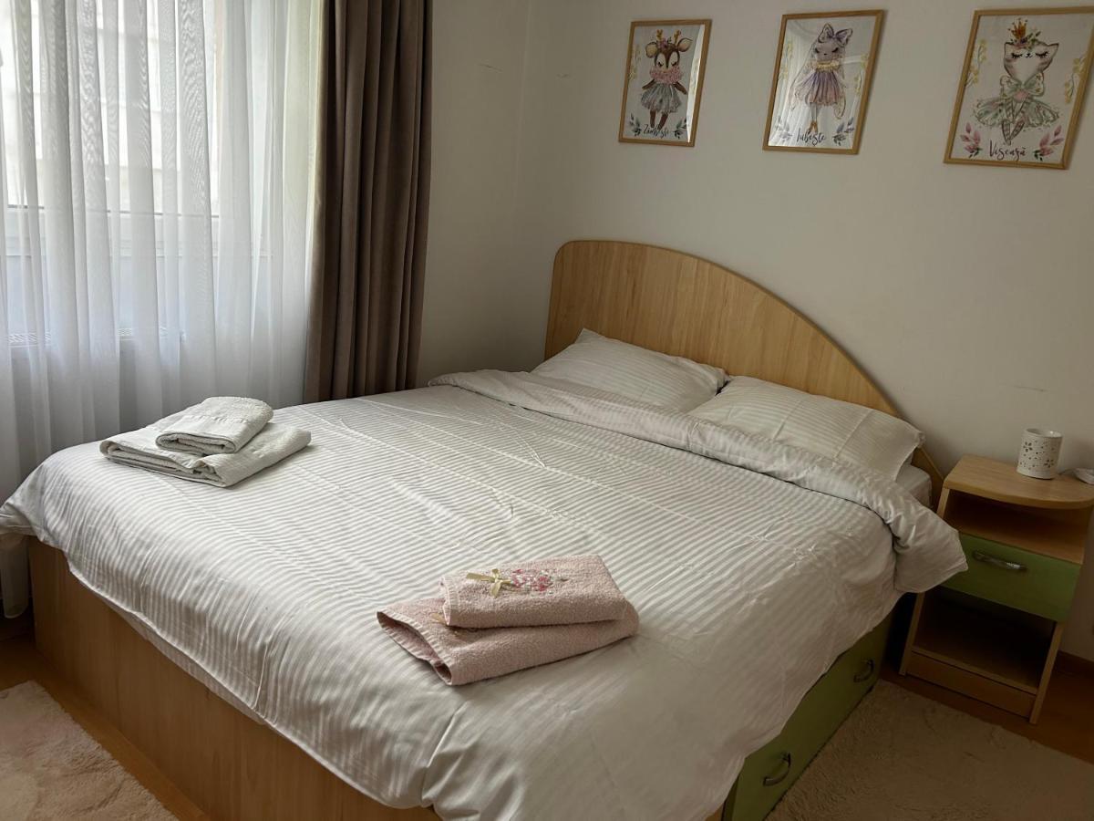 Lalelelor Apartment Suceava Ngoại thất bức ảnh